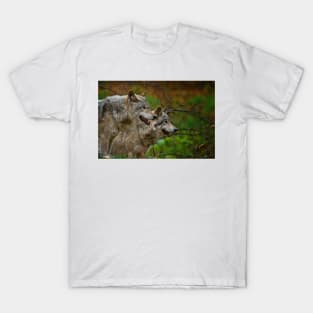 Gray Wolves T-Shirt